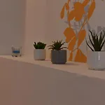 Appartamento Riviera